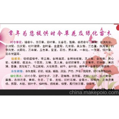 山東青州草花苗木批發(fā)市場