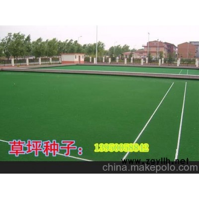 莆田最經(jīng)濟(jì)實(shí)惠質(zhì)量有保證的草籽和花籽公司