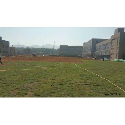 草皮種植、草地修剪、綠化草皮