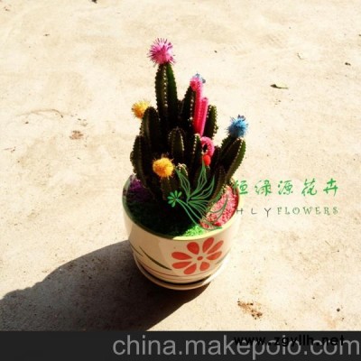 批發(fā)小盆栽多肉植物防輻射盆栽辦公室內(nèi)桌面綠植 萬重山（含盆）