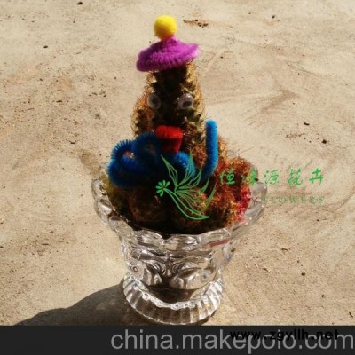 批發(fā)小盆栽多肉植物防輻射盆栽辦公室內(nèi)桌面綠植 金手指（含盆