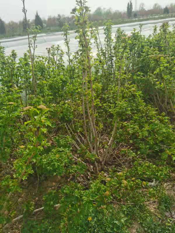 微信圖片_202104211052481