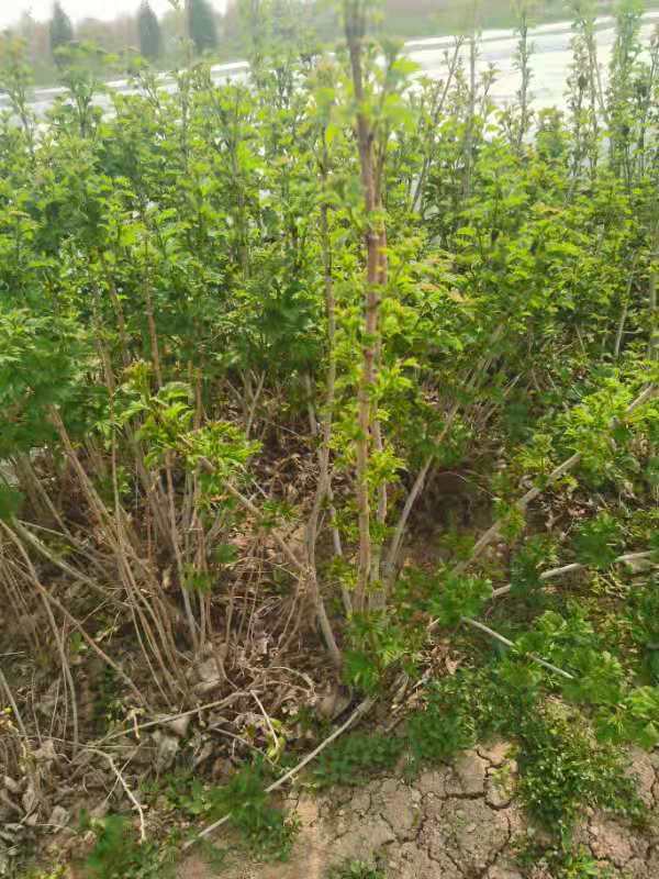 微信圖片_202104211052482