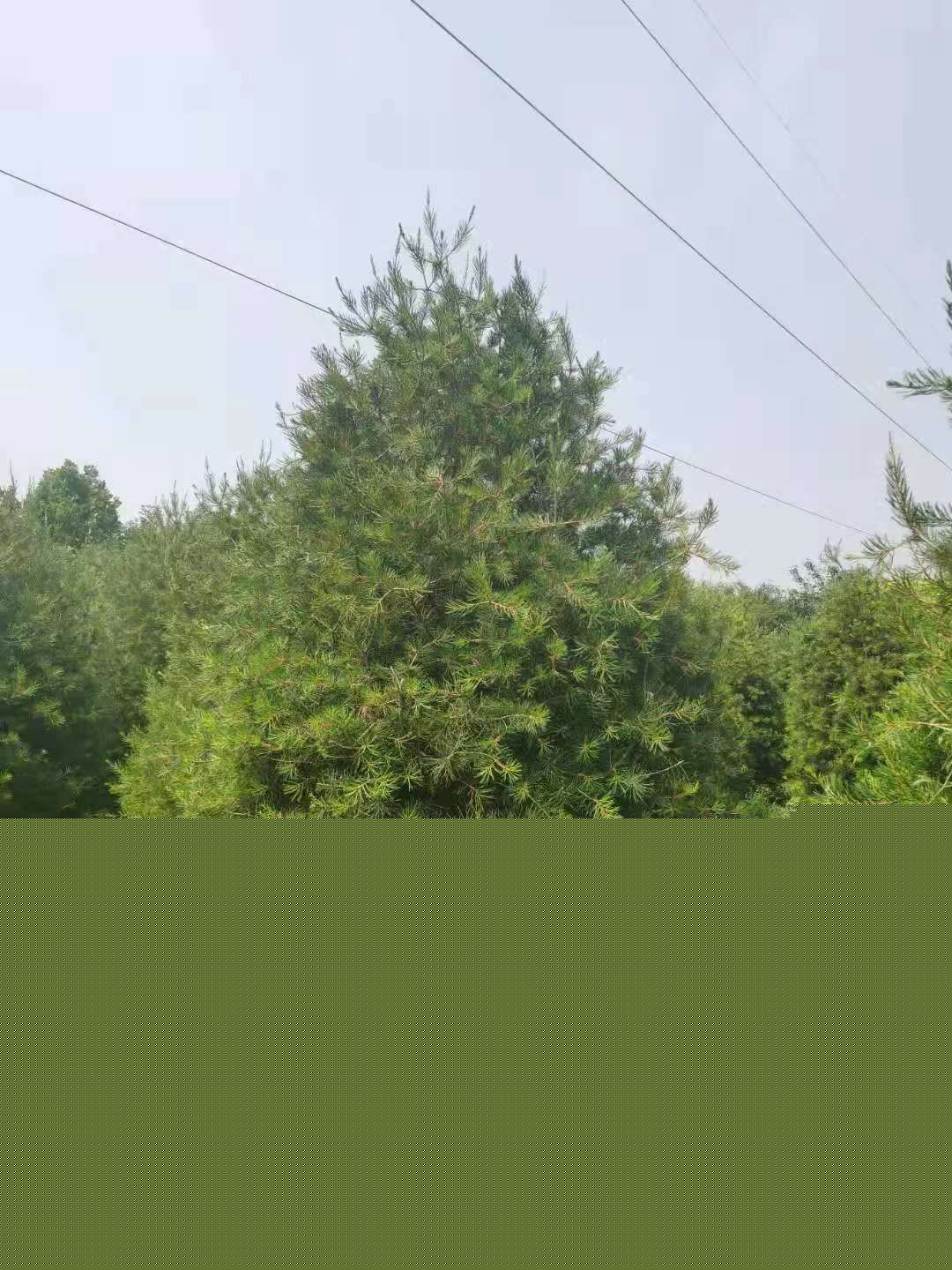 微信圖片_202104211054152