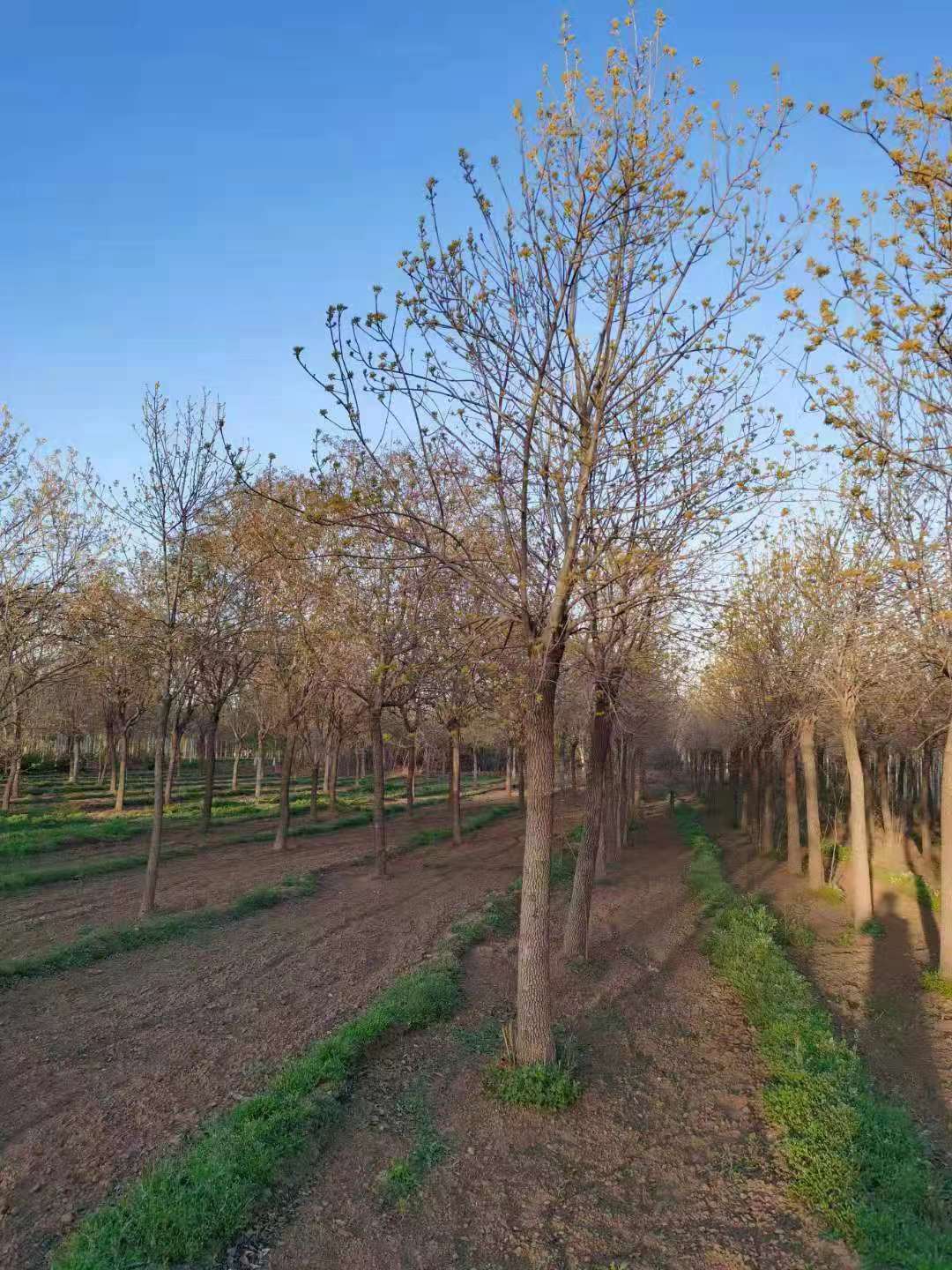 微信圖片_202104211058441