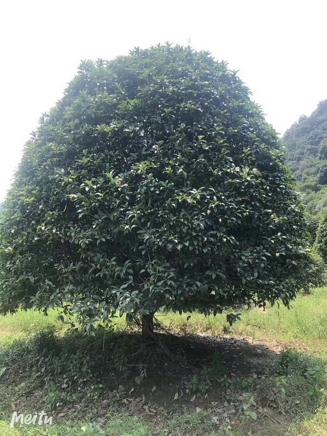 微信圖片_20210517135925