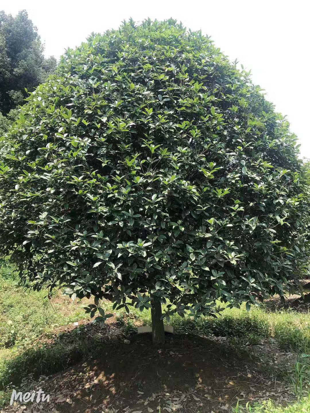 微信圖片_202105171359251