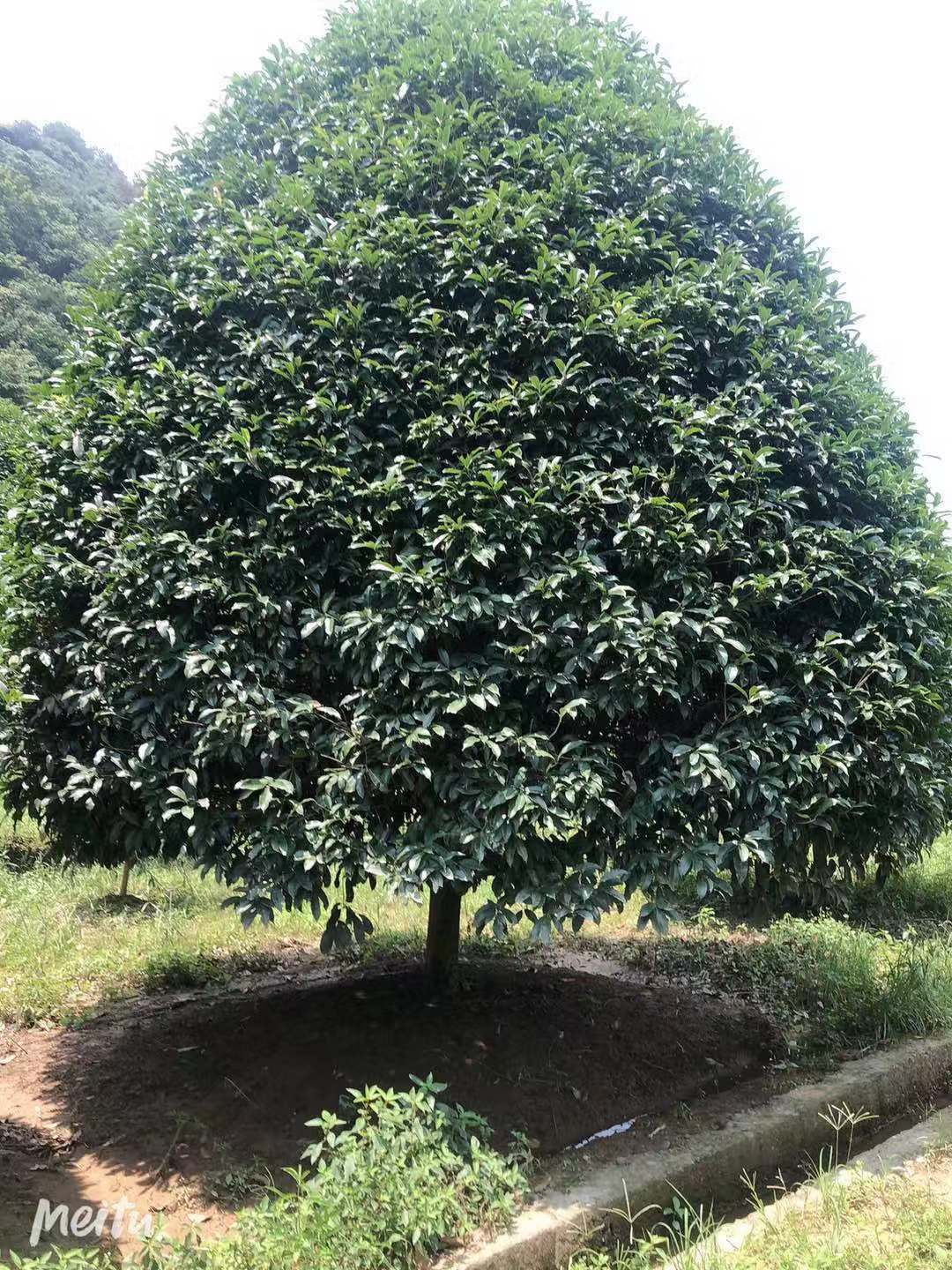 微信圖片_202105171359252