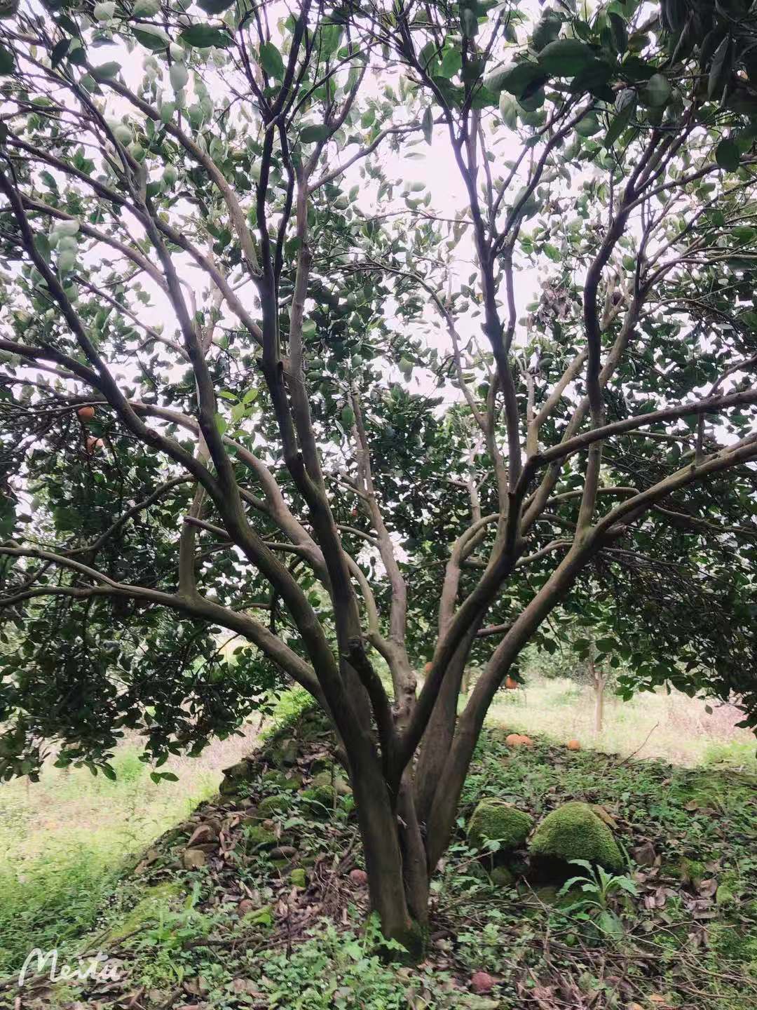 微信圖片_20210517140324