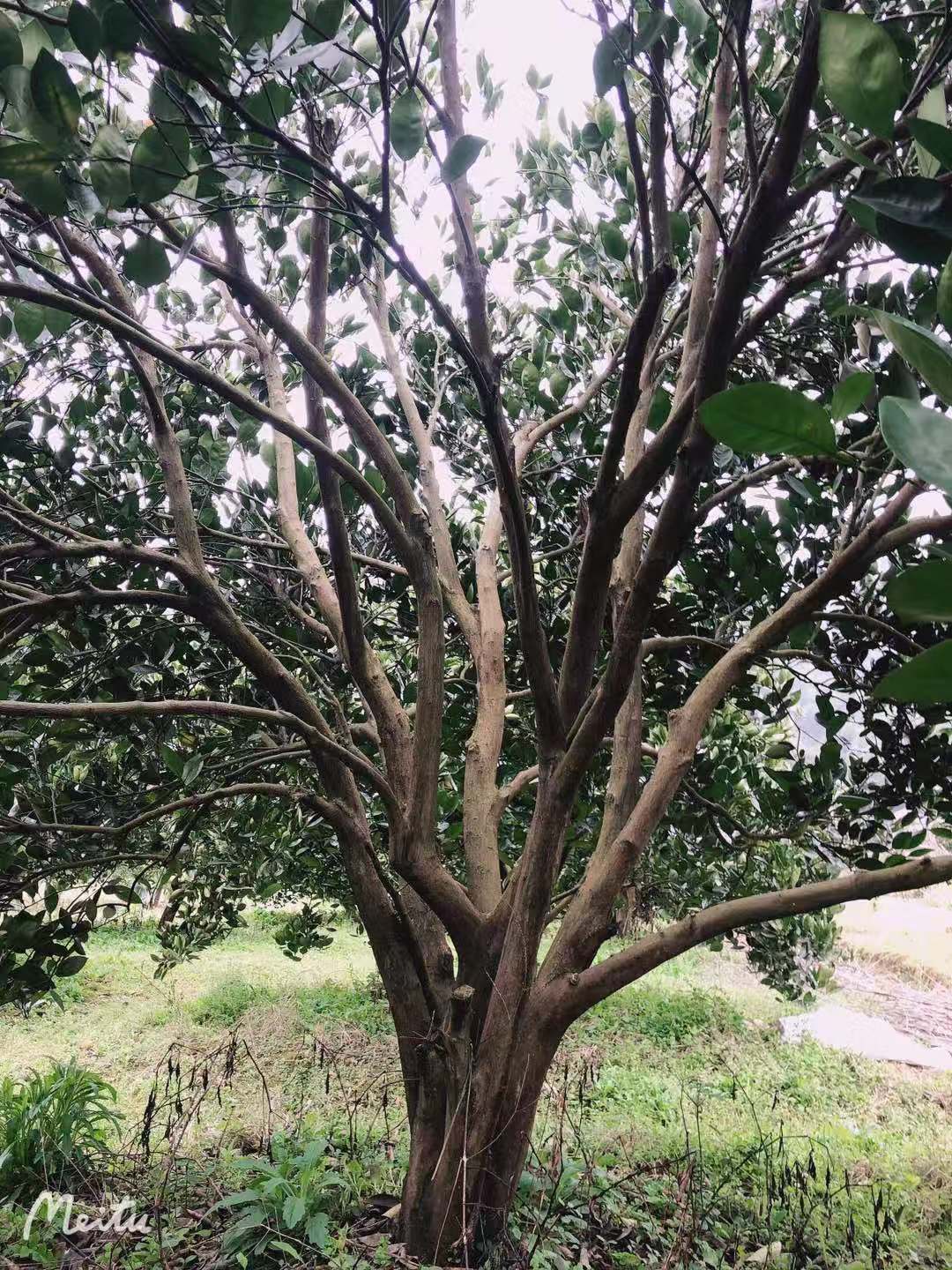 微信圖片_202105171403241