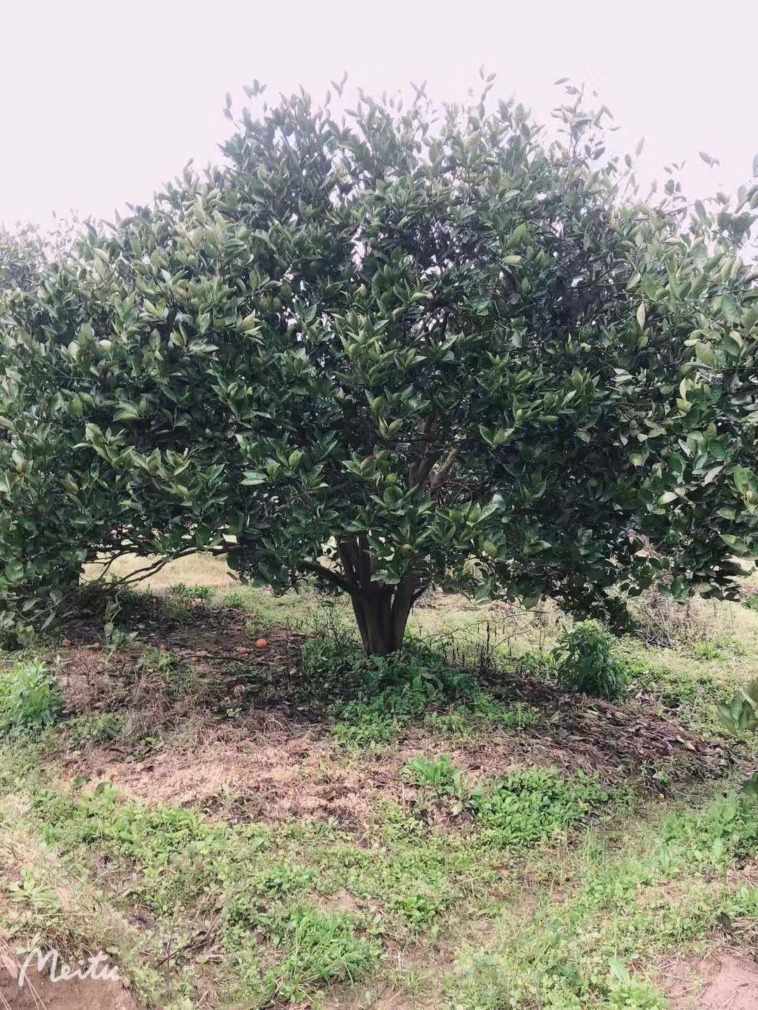 微信圖片_202105171403242