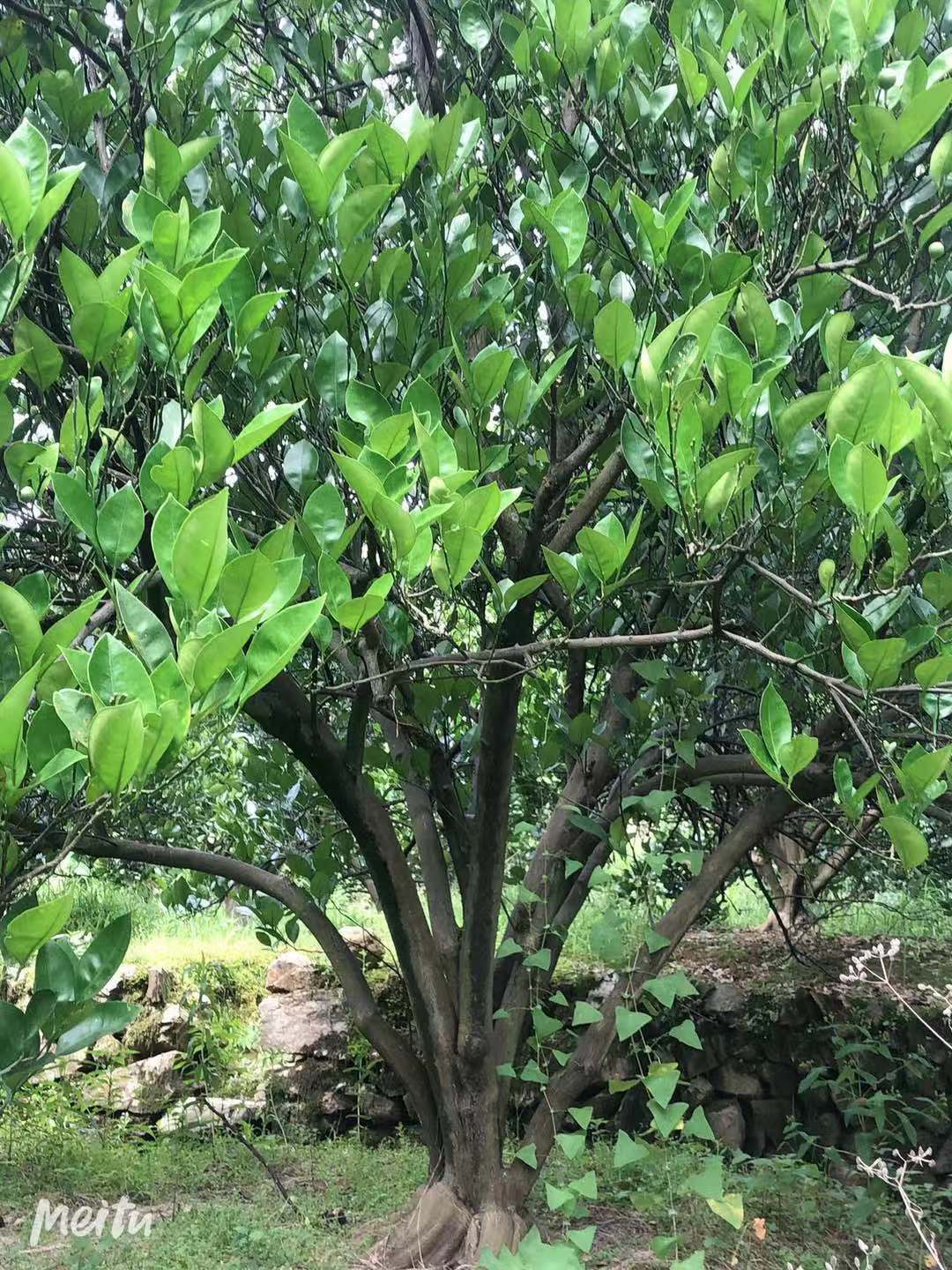 微信圖片_202105171403243