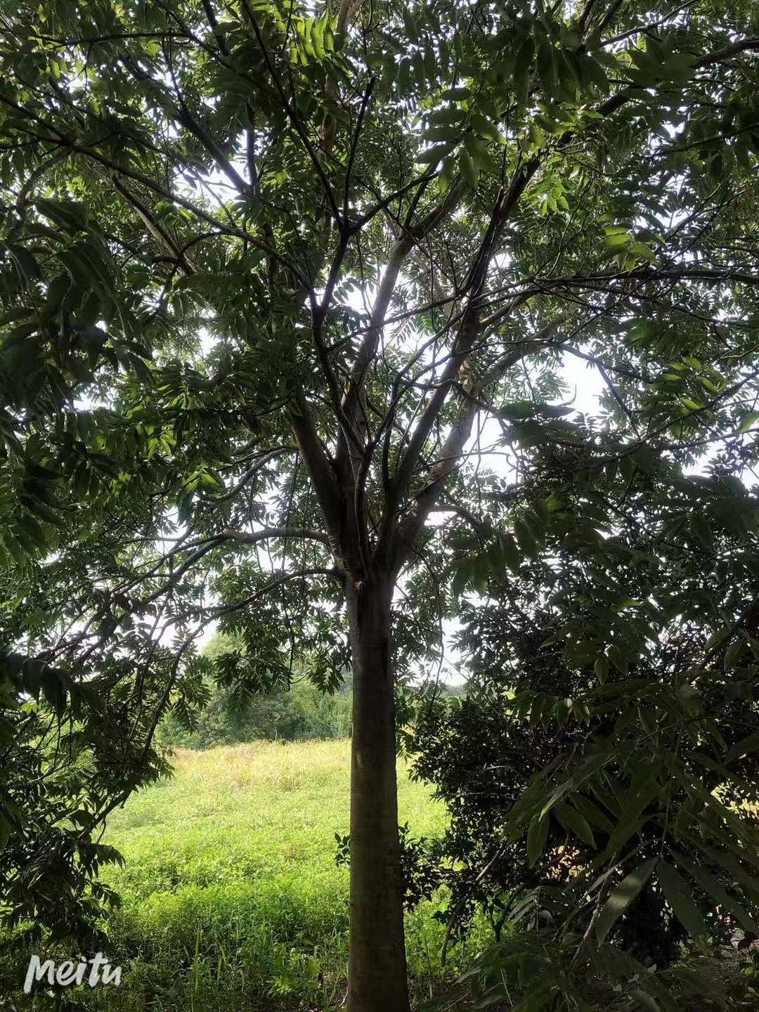 微信圖片_20210517140450