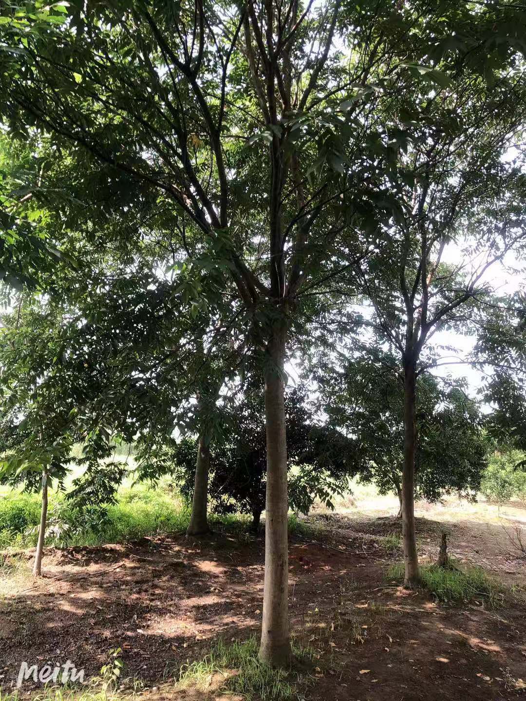 微信圖片_202105171404501