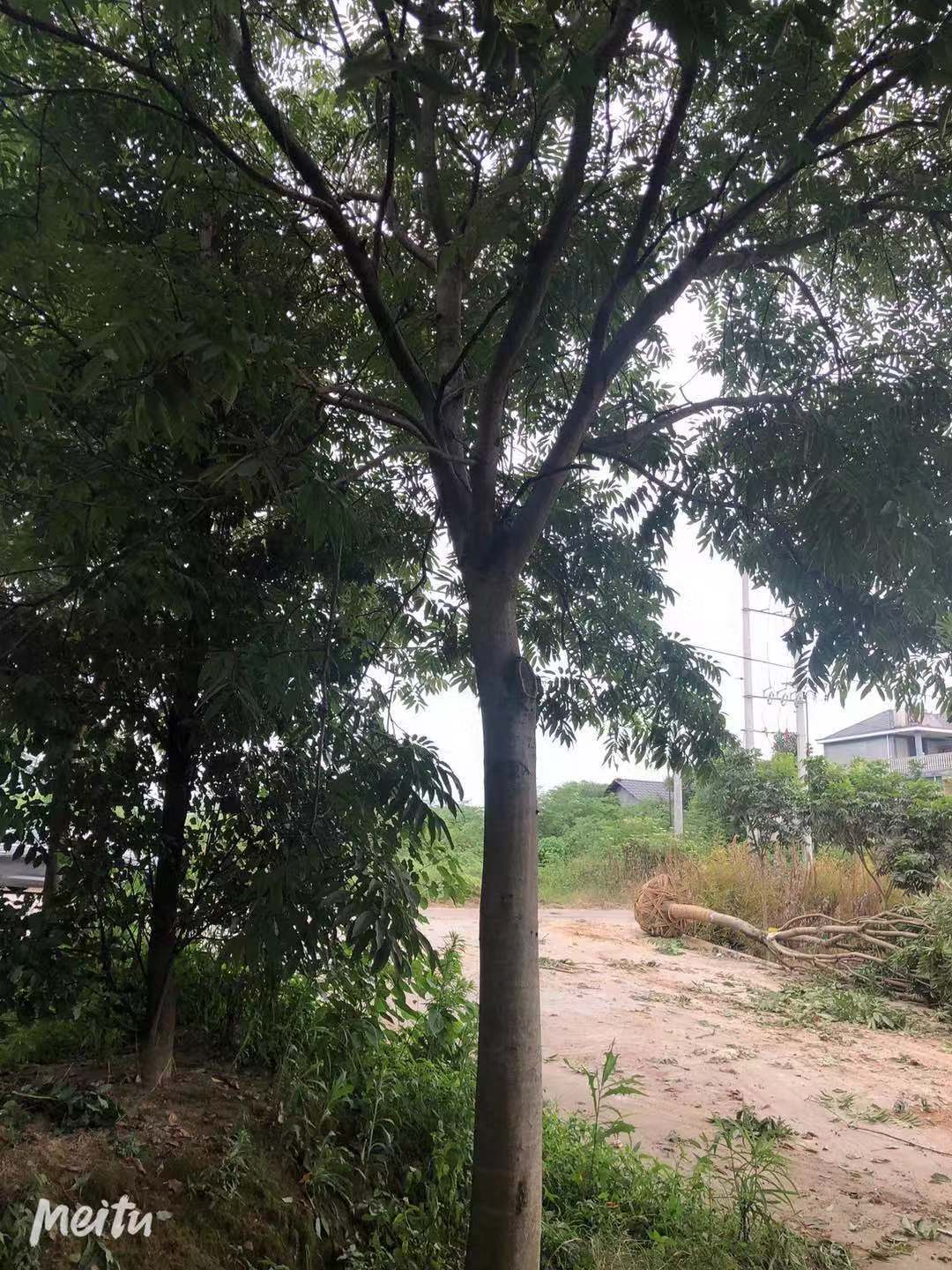 微信圖片_202105171404502