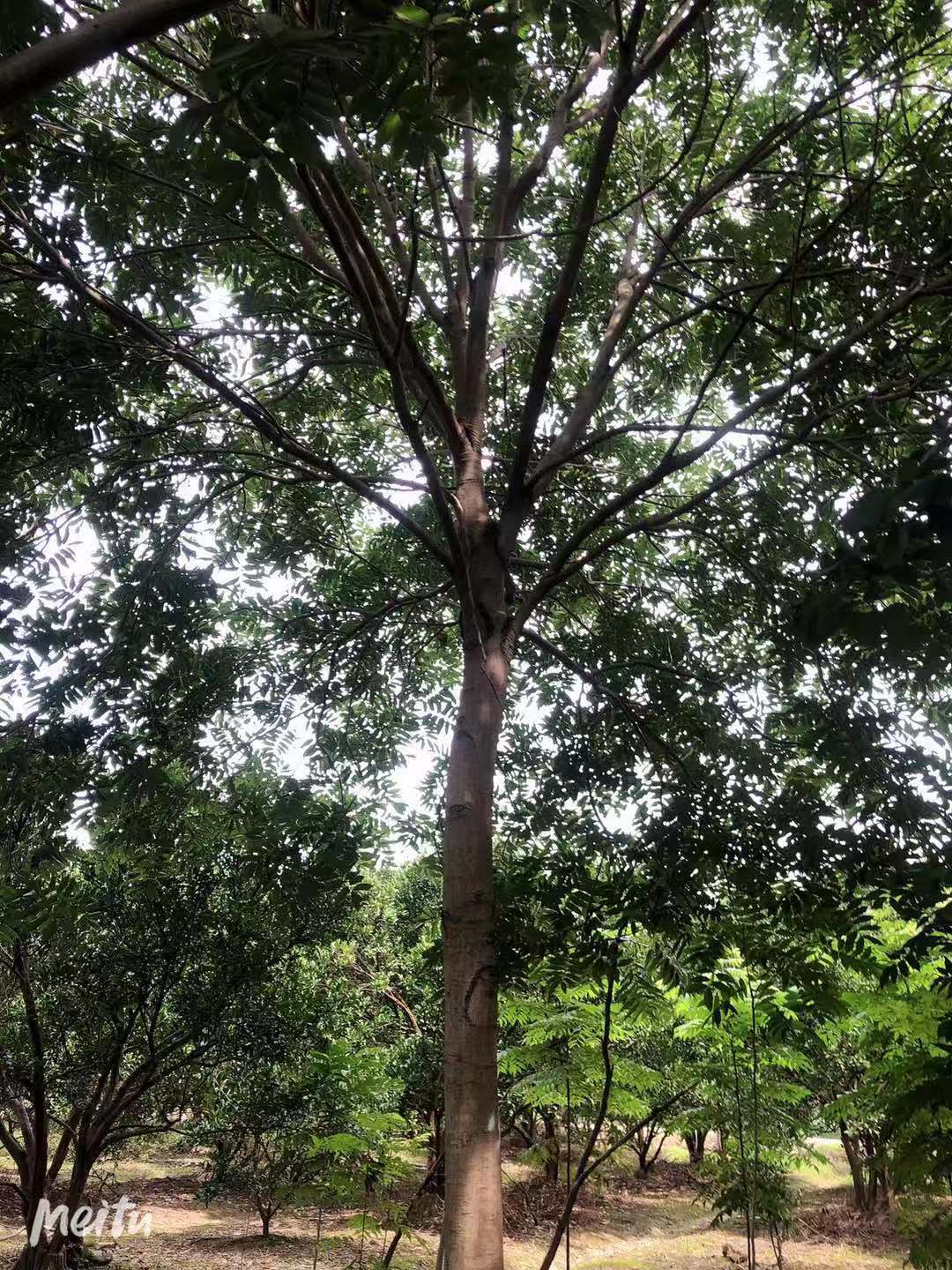 微信圖片_202105171404503