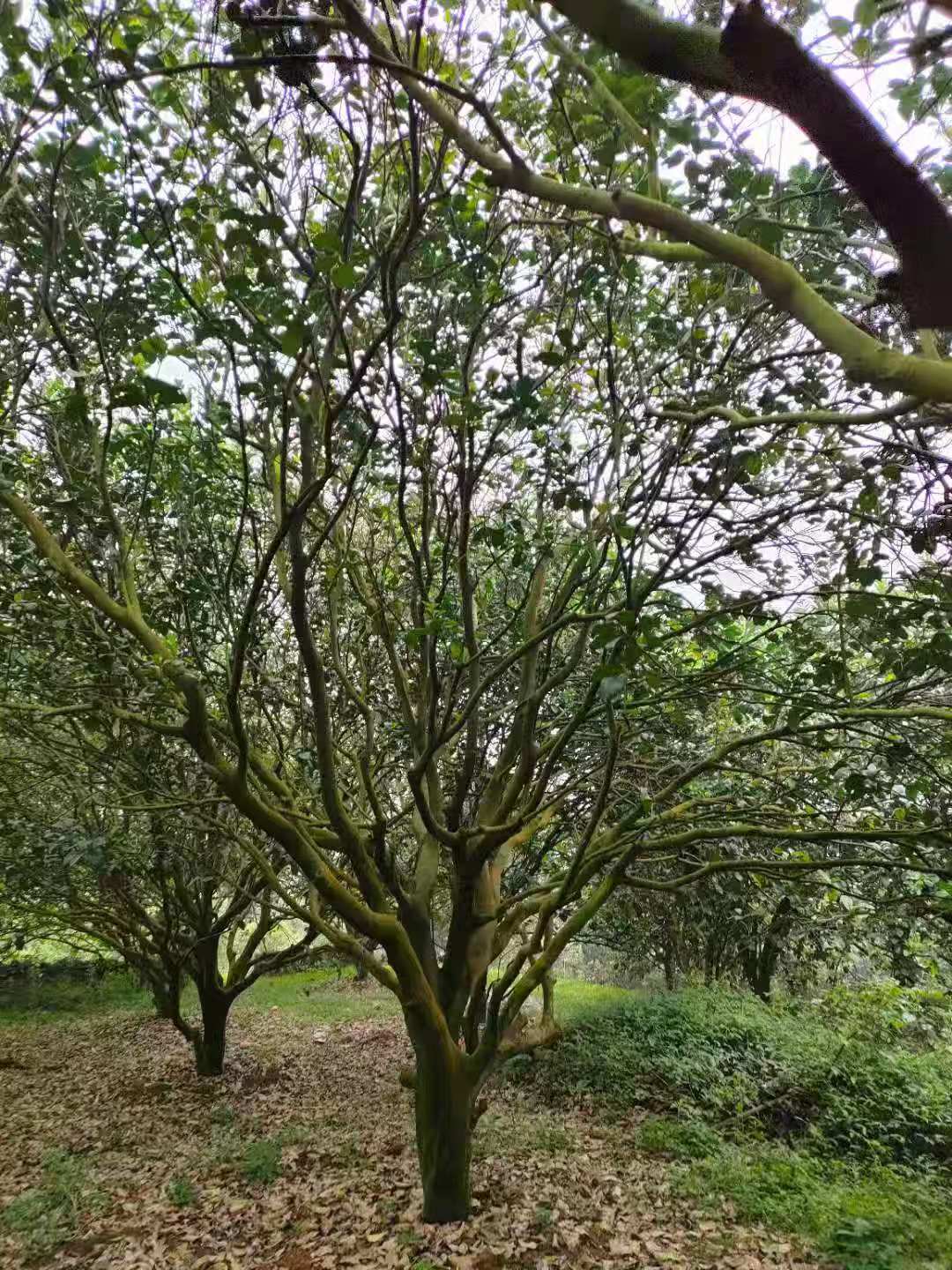 微信圖片_20210517140639