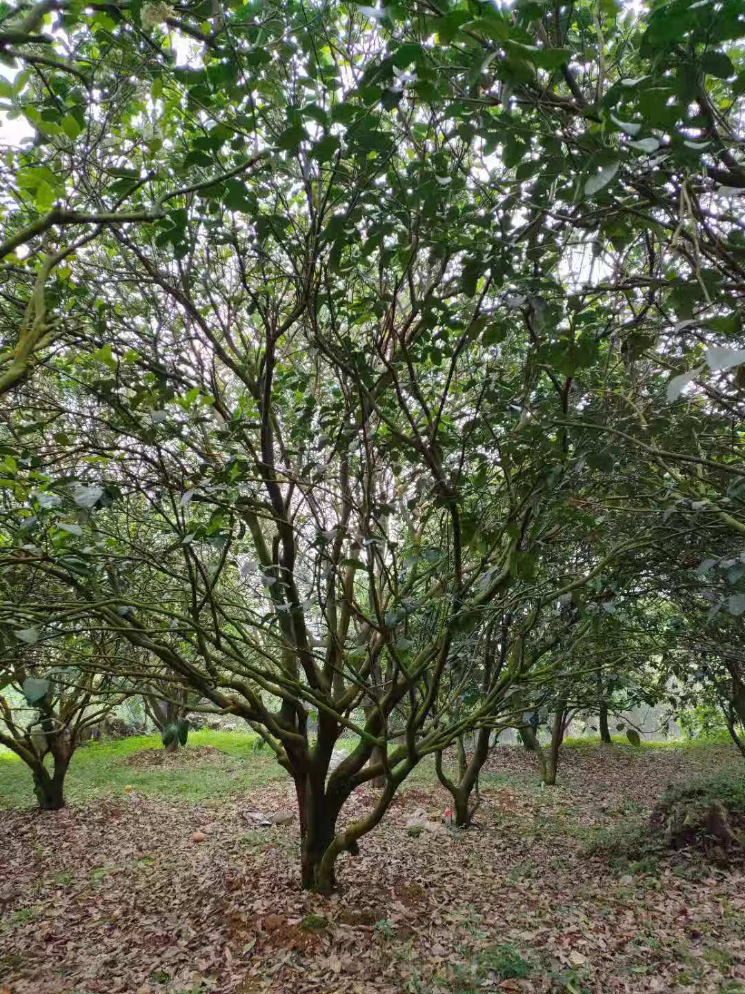 微信圖片_202105171406391