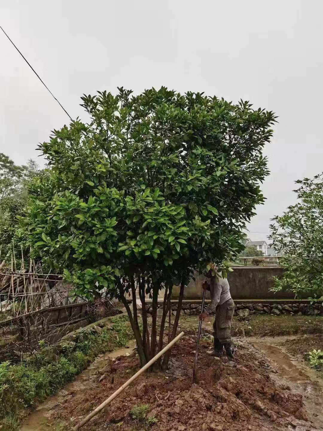 微信圖片_202105171406392