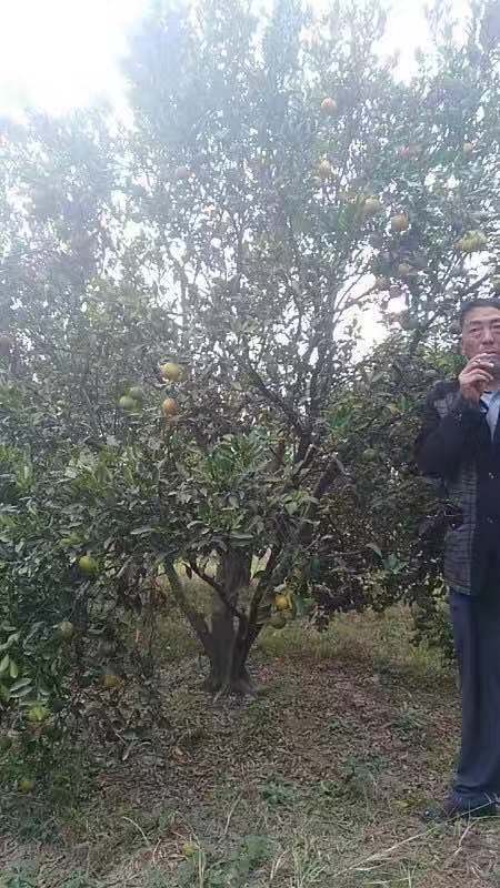 微信圖片_20210517140750