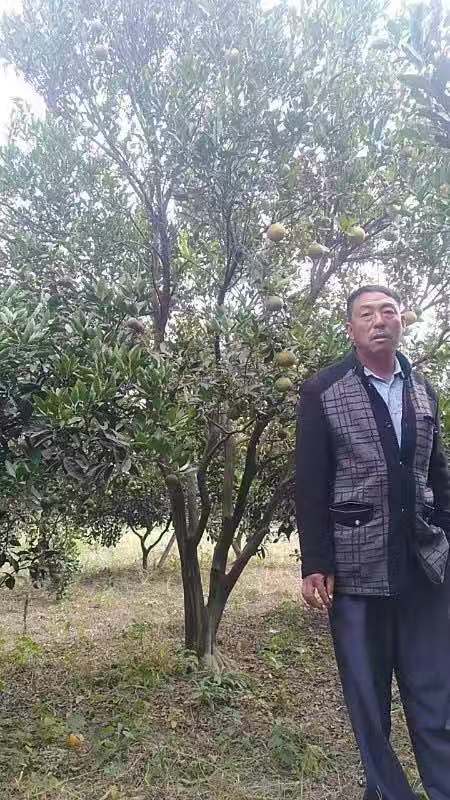 微信圖片_202105171407501