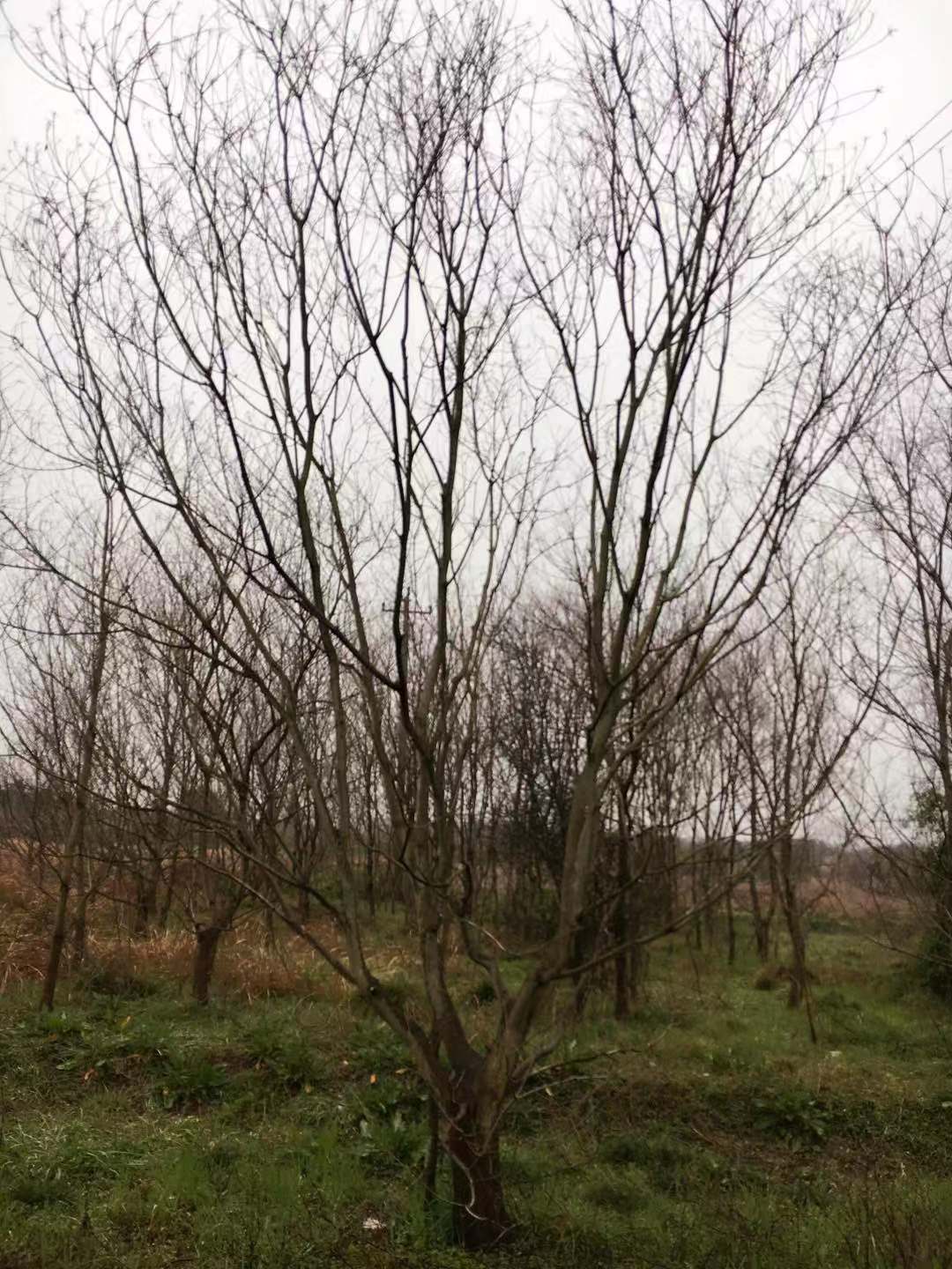 微信圖片_20210517140846