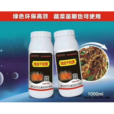 專殺草莓根結線蟲特效藥 殺根結線蟲最好的藥 防治根結線蟲