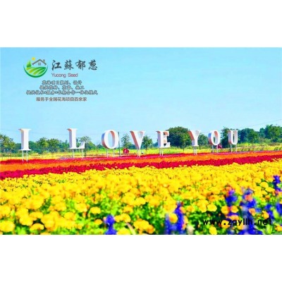 紅花油茶種子一般多少錢一斤...認證企業(yè)