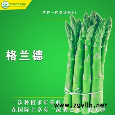 原裝進口格蘭德F1蘆筍種子，蘆筍種子價格，北京中農天騰種業全國經銷