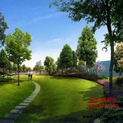 護坡草種子怎樣種植