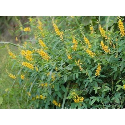 浙江金華高陡巖石邊坡綠化椰網(wǎng)護(hù)坡