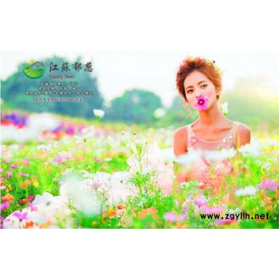 五彩石竹種子-辣木種子哪里有賣的-免費(fèi)試鐘