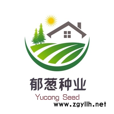 油桐種子種植技術方法