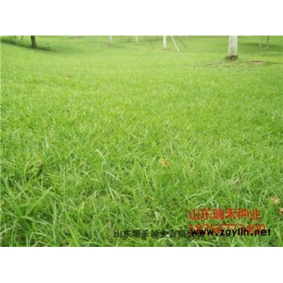 護坡撒草籽什么季節(jié)做