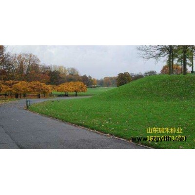 植草種子每平方需要多少斤草種