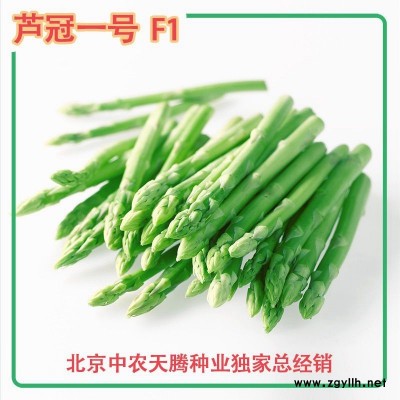 蘆筍種子 蘆冠一號高產蘆筍種子 北京中農天騰種業