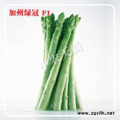 加州綠冠F1-進口蘆筍種子 國際優質綠白兼用蘆筍新品種 北京中農天騰種業全國總經銷