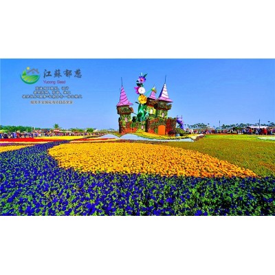 櫸樹種子種植技術(shù)方法...高發(fā)芽率