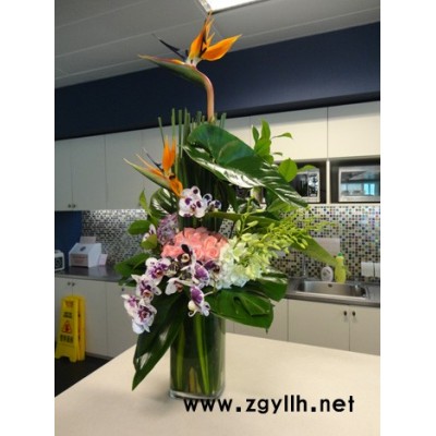 武漢花卉-雅淳花卉植物出租-花卉租擺