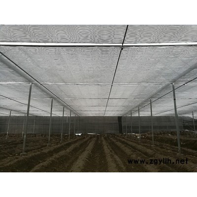 食用菌大棚-福州大棚-福州龍泰蔬菜大棚搭建