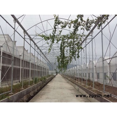 福州遮陽網-遮陽網廠家-龍泰農用機械(推薦商家)