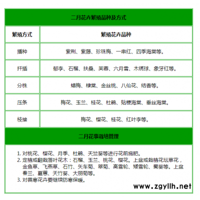 室內花卉租賃-武漢花卉-雅淳花卉租擺(查看)