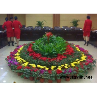 雅淳花卉租擺(多圖)-武漢花卉出租