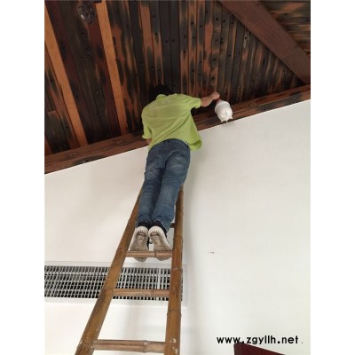 除蟲滅鼠公司-東莞黃江除蟲滅鼠公司-植美白蟻防治(查看)