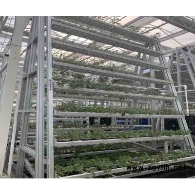 A字架立體栽培批發-泓稷科技