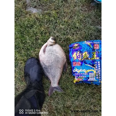 湖北釣魚王漁具-釣魚王巨草水果發(fā)酵餌