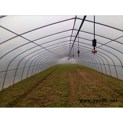 工廠化蔬菜種植設備-龍?zhí)┺r(nóng)用機械-廈門工廠化蔬菜種植