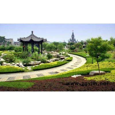 武漢綠化養(yǎng)護(hù)-雅淳花卉(推薦商家)