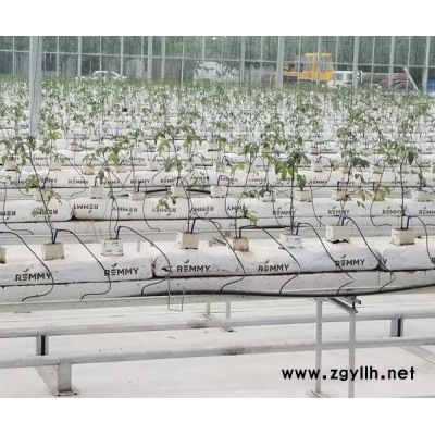 上海黃瓜栽培槽哪家好“本信息長期有效”