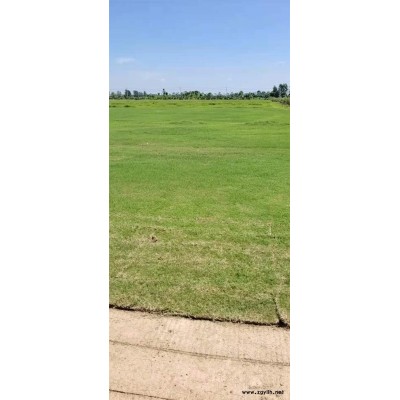 武漢公園綠化養(yǎng)護(hù)電話“本信息長期有效”